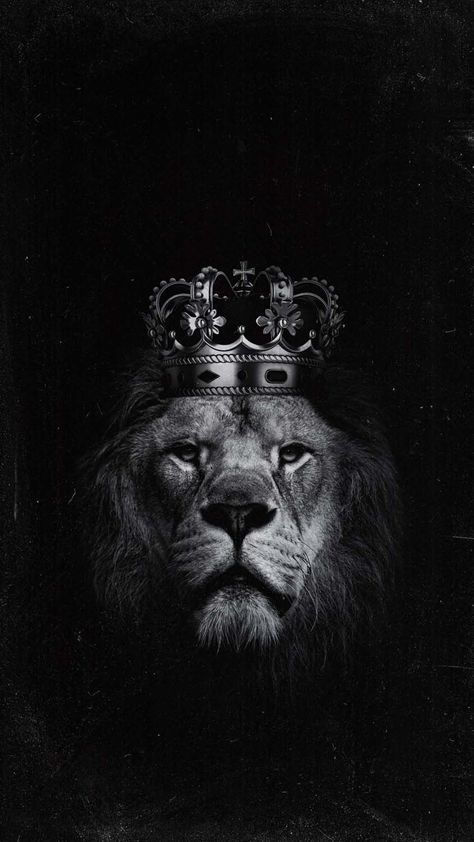 Lion Crown IPhone Wallpaper HD - IPhone Wallpapers : iPhone Wallpapers King Crown Wallpaper Iphone, Lion Crown Wallpaper, Lion Hd Wallpaper 1080x1920, Wild Wallpaper Iphone, Lion Wallpaper Hd 1080p, Black Lion Wallpaper, Lion Wallpaper Aesthetic, Lion With A Crown, Lion Aesthetic