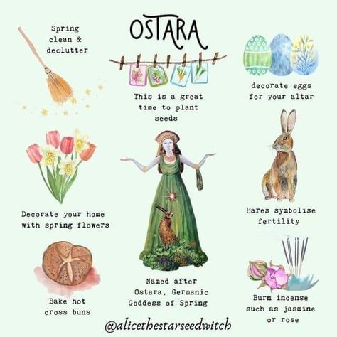 Spring Flowers Names, Spring Equinox Ritual, Ostara Ritual, Wicca Holidays, Pagan Sabbats, Witches Wheel, Wiccan Sabbats, Balance In Life, Witch Spirituality