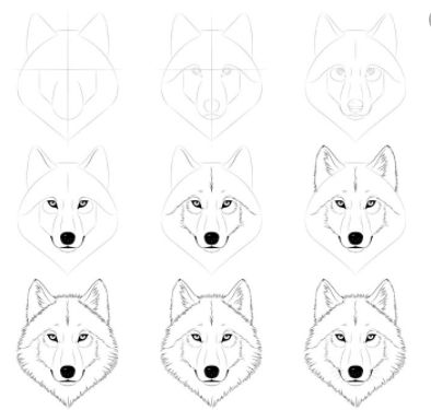 This drawing has step by step on how to draw a wolf. If this is not clear pls let me know. U can color it however u want. Wolf Sketch Step By Step, Wolf Sketch Easy Step By Step, Drawing Wolf Head, How To Draw A Wolf Face Step By Step, How To Paint A Wolf Step By Step, How To Draw Wolf Face, How To Draw Wolfs, Wolf Drawing Sketch Simple, Wolf Drawing Face