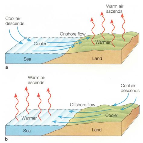 wind direction Wind Analysis, Arugam Bay, Solar Energy Facts, Sailing Lessons, Weather Chart, Solar Energy Diy, Energy Activities, Geography Lessons, Wind Direction