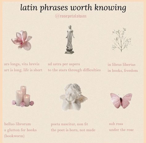 Latin Quotes, Latin Phrases, Rare Words, Latin Words, Book Writing Tips, Writing Words, Aesthetic Words, Poetry Quotes, Writing Inspiration