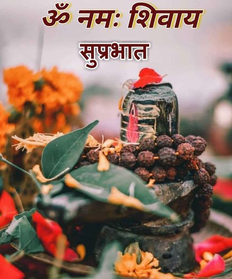 Jai Bholenath, Good Morning Tea, Good Morning Happy Monday, Beautiful Morning Quotes, Good Morning Nature, Hindi Good Morning Quotes, Good Morning Images Hd, Good Morning Life Quotes, Good Morning Friends Images