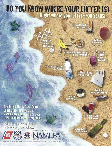 NAMEPA "Do You Know Where Your Litter Is?" Poster - visit namepa.net/education for more materials! Coast Guard Auxiliary, Marine Debris, Calendar Activities, Plastic Free July, Marine Environment, Art Contest, Plastic Containers, Save Earth, Go Green