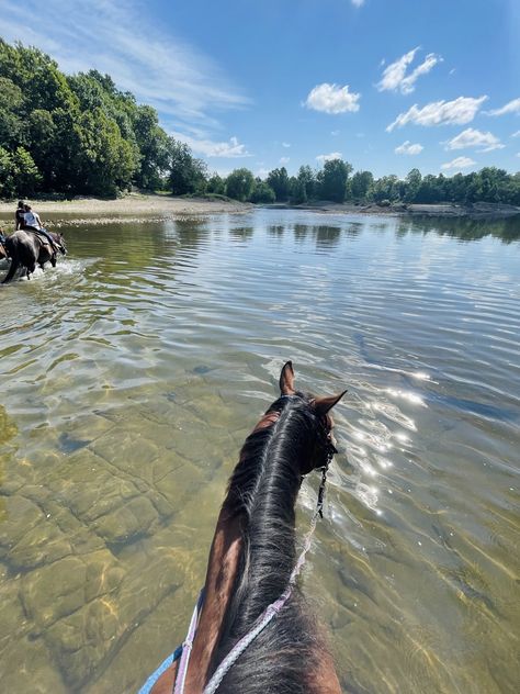 horse girl aesthetic l horseback riding l broken bow , oklahoma excurcions l horse aesthetic l brown horse l horseback riding over the water l water horse l nature aesthetic l one with nature Bareback Horse Riding Aesthetic, Ride A Horse Aesthetic, Horseback Riding Aesthetic, Horse Riding Aesthetic Beach, Horseback Riding In Water, Horse Girl Aesthetic, Horses On The Beach Aesthetic, Water Horse, Trail Riding Horses