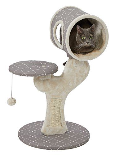 AmazonSmile : MidWest Homes for Pets Cat Tree | Salvador Cat Tree w/Built-in Sisal Cat Scratching Pad & Cat Look-Out Lounge, Mushroom/Diamond Pattern, Small Cat Tree : Pet Supplies Cat Tree Plans, Unique Cat Trees, Small Cat Tree, Cool Cat Trees, Modern Cat Tree, Tree Plan, Cat Exercise, Cat Towers, Tree Furniture