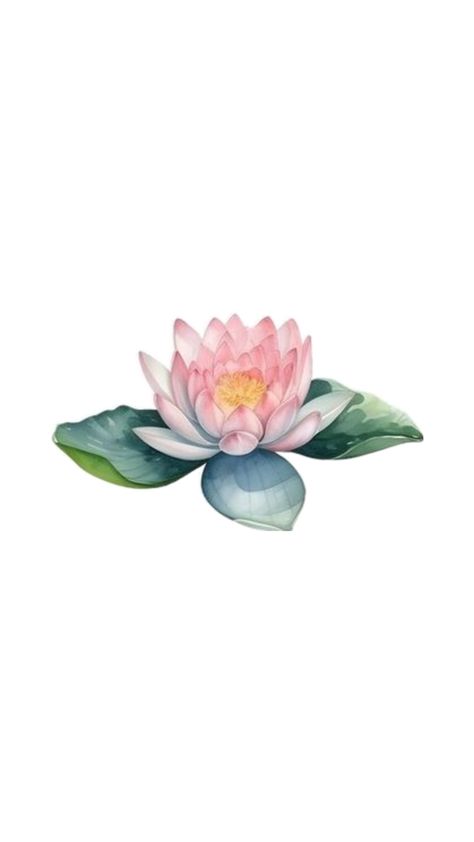 Water Lily Drawing, Lily Drawing, Lilies Drawing, Water Lily, Lily, Drawings, Water