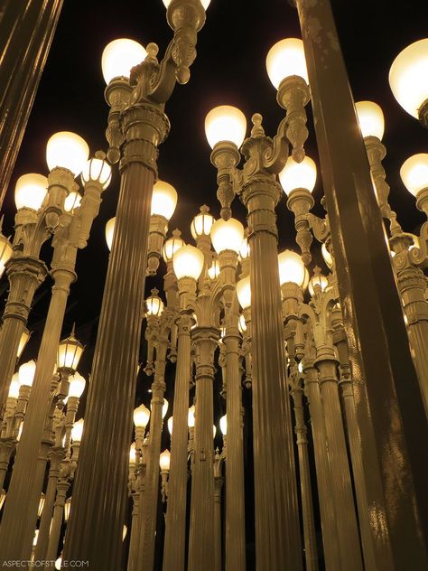 Lacma Lights, San Francisco Road Trip, Urban Lights, California Road Trip Itinerary, Urban Light, California Road Trip, Urban Lighting, Los Angles, California Travel Road Trips