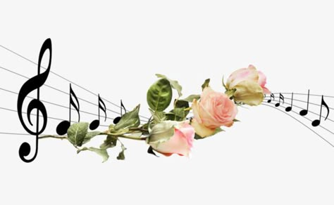 Music Notes Decorations, Music Border, Music Notes Drawing, Music Clipart, Music Notes Tattoo, Rainbow Music, Music Notes Art, Music Flower, Pink Music