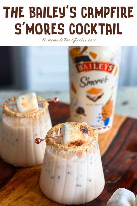 Baileys Campfire Smores Cocktail Recipes With Baileys S’mores, Smores Baileys Recipes, Baileys Smores Recipes Drinks, Baileys Cocktails Recipes, Smores Cocktail, Smores Martini, Baileys Recipes Drinks, Easy Baked Brie Recipe, Chocolate Martini Recipe