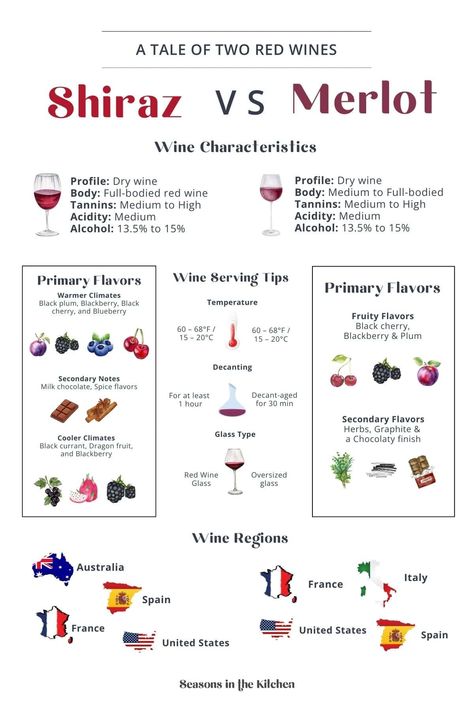 Curious about the differences between Shiraz and Merlot? This infographic compares their unique wine characteristics, flavor profiles, serving tips, and where they are grown. Perfect for wine lovers wanting to explore these popular varietals! Pop over to our site to learn more. Wine Infographic, Bartending 101, Shiraz Wine, Wine Sommelier, Wine Recommendations, Wine Flavors, Merlot Wine, Wine Knowledge, Dry Wine