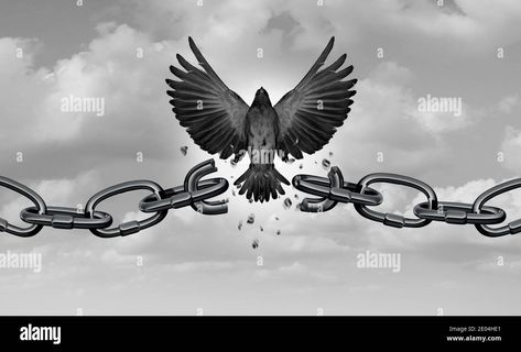 Download this stock image: Freedom metaphor as a symbol of liberty and as a concept of chains breaking as bird wings breaking free with 3D illustration elements. - 2E04HE1 from Alamy's library of millions of high resolution stock photos, illustrations and vectors. Freedom Symbols, Freedom Images, Monument Ideas, Freedom Drawing, Abdomen Tattoo, Hsc Art, Tattoos About Growth, Freedom Bird, Small Wave Tattoo