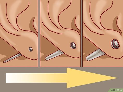 How to Stretch Your Ears Pain Free: 11 Steps (with Pictures) Stretching Ear Lobes, Helix Piercing Stud, Ear Stretchers, Gauged Ears, Stretched Ear Lobes, Ear Sweeps, Earrings Mens, Men's Piercings, Stretched Ear