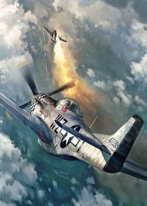 P-51 Mustang Grumman F6f Hellcat, Ww2 Fighter Planes, Wwii Fighter Planes, P 51 Mustang, Wwii Airplane, Wwii Fighters, Aircraft Painting, Wwii Plane, Airplane Art