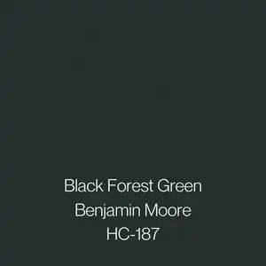 Benjamin Moore Dark Green, Popular Dark Green Paint Colors, Dark Green Paint Colors, Dark Green Shades, Historic Paint Colours, Dark Green Paint, Black Paint Color, Darkest Black Color, Moody Decor