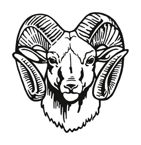 Sheep Tattoo, Sheep Drawing, Ram Tattoo, Tato Minimal, Big Horn Sheep, Aries Tattoo, Ram Head, Drawing Heads, Head Tattoos