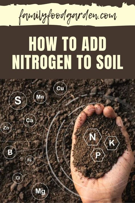 Nitrogen For Plants, Planting Beans, Manure Tea, Beans And Legumes, Natural Plant Fertilizer, Shade Garden Plants, Compost Tea, Natural Fertilizer, Leafy Plants