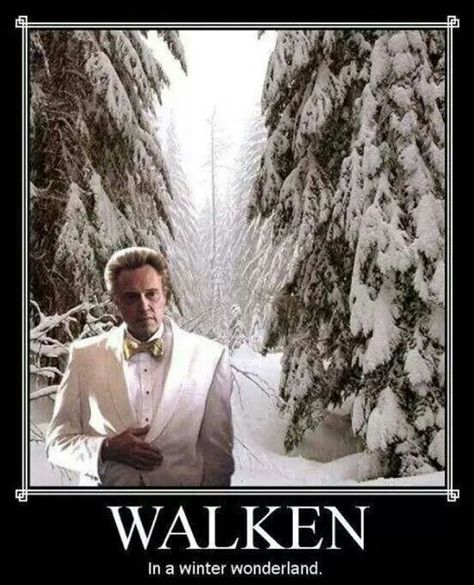 Christopher Walken in a Winter Wonderland. Funny Merry Christmas Memes, Merry Christmas Meme, Christmas Memes Funny, Christmas Memes, Christopher Walken, Merry Christmas Funny, Holiday Humor, Christmas Song, Bones Funny