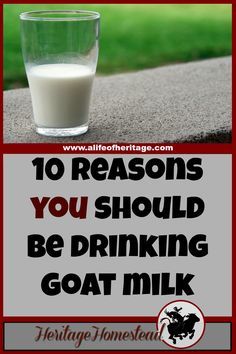 Goats Milk Benefits, Puppy Meals, Homestead 101, Overnight Oats With Milk, Goat Milk Benefits, Mini Farms, Benefits Of Goat Milk, Suburban Homesteading, Milk Soap Recipe