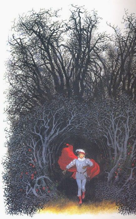 Cinderella (Brothers Grimm) Nikolai Ustinov, Grimm Brothers, Brothers Grimm Fairy Tales, Sleeping Beauty Fairies, The Brothers Grimm, Dark Fairytale, Brothers Grimm, Fairytale Illustration, Fairytale Art