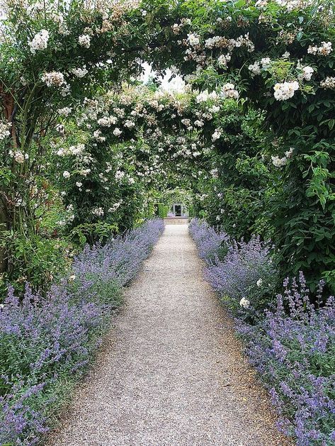 Walkways Paths, Have Inspiration, Garden Pathway, Romantic Garden, Gorgeous Gardens, Decor Minimalist, Garden Cottage, Country Gardening, English Garden