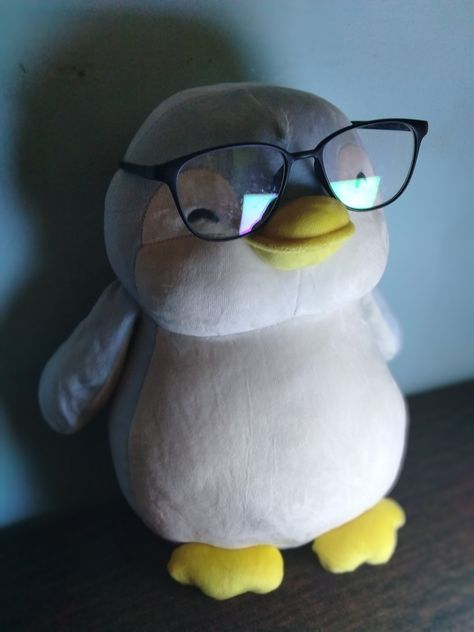 oof Miniso Penguin, Penguin Teddy Bear, Penguin Plushie, Drawing Male Hair, Cute Teddy Bear Pics, Study Snaps Ideas, Penguin Plush, Sister Poses, Quotes Celebrities