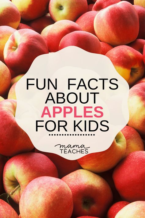 Apple Activity For Kids, Apple Facts For Kids, Apple Kids Activities, Apple Activities For Kids, Kids Fun Facts, Apple Chart, Apple Tasting, Apple Facts, Apple Plant