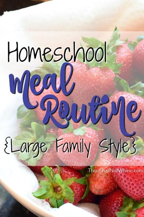 Homeschool Lunch Ideas, Homeschool Lunches, Homeschool Lunch, Homemade Cereal, Homeschool Hacks, Homeschool Routine, Homeschool Tips, Granola Cereal, Homeschool Schedule