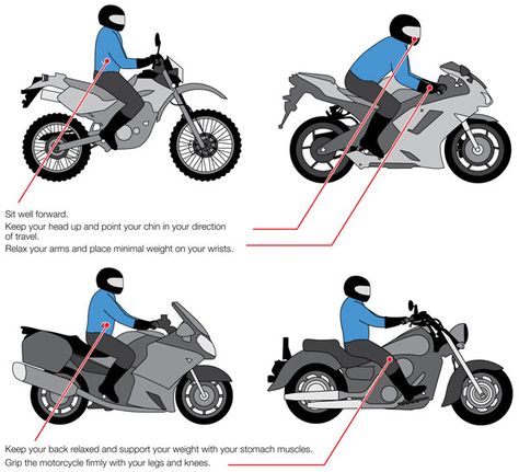 Motorcycle Reference, Bike Riding Tips, Motorcycle Tips, Motorcycle Safety, Motorbike Design, Motorcycles And Scooter, Pretty Bike, Custom Cafe Racer, Motorcycle Types