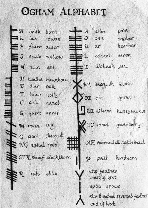 Ogham Alphabet Creating Sigils, Ogham Tattoo, Tree Ogham, Tree Names, Celtic Symbols And Meanings, Bind Runes, Celtic Paganism, Ogham Alphabet, Irish Heart