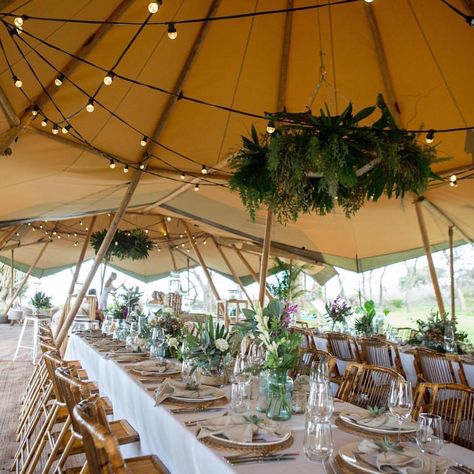 Sperry Tent Wedding, Marquee Hire, Timber Table, Midsummer Nights Dream, Tent Wedding, Set Up, Event Styling, North Shore, Event Planner