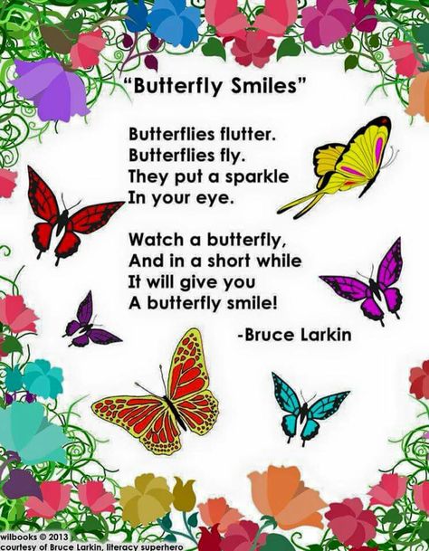 Butterfly Smile Butterfly Poems, Butterfly Quotes, Butterflies And Flowers, Butterflies Flying, Butterfly Theme, Butterfly Drawing, Cute Butterfly, Butterfly Cards, A Poem