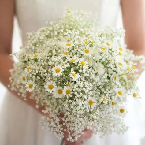 Daisy Wedding Bouquet, Daisy Bouquet Wedding, Wedding Bridesmaid Bouquets, Wildflower Wedding Bouquet, Summer Wedding Bouquets, Daisy Wedding, Daisy Bouquet, Fresh Summer, Wildflower Wedding