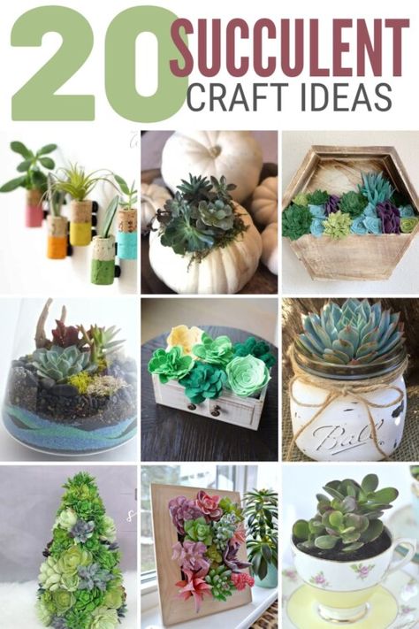 20 Succulent Crafts Ideas - The Crafty Blog Stalker Crafts With Succulents, Diy Succulent Decor Ideas, Diy Succulent Planter Indoor, Diy Succulent Wall Art, Succulent Crafts Diy, Diy Succulent Planters Ideas, Succulent Gifts Diy, Succulents Crafts, Fake Succulents Decor