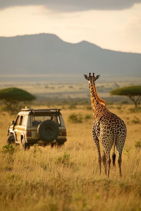 "Embark on an electric safari in Kenya! 🚙⚡ Experience wildlife conservation and adventure in a sustainable way. Explore the savannah with minimal impact and maximum excitement. 🦁🌿 #ElectricSafari #Kenya #EcoFriendlyTravel" Kenya Safari, Adventure Aesthetic, Safari Adventure, Animal Crackers, Eco Friendly Travel, Wildlife Conservation, Travel Aesthetic, Kenya, Savannah