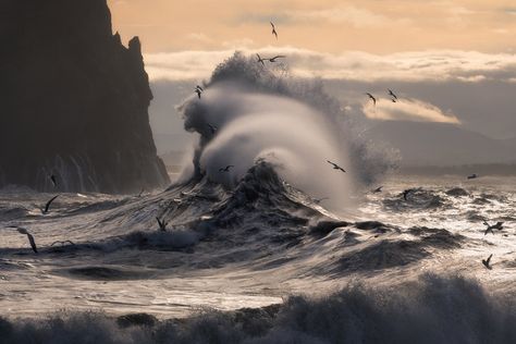 Photo © Majeed Badizadegan Goddess Of The Sea, In The Ocean, Sea And Ocean, Ocean Life, Ocean Beach, Ocean Waves, Amazing Nature, Beautiful World, Wonders Of The World