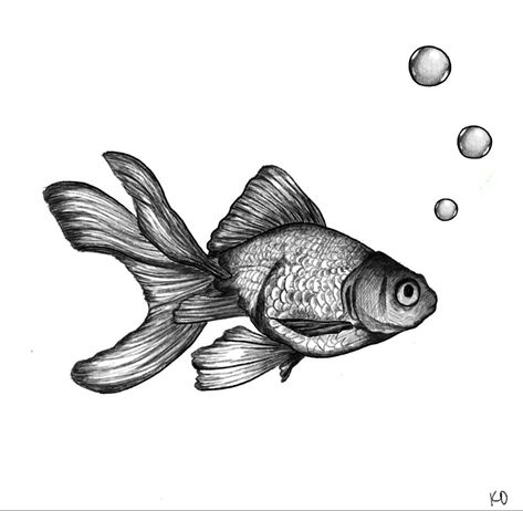 Goldfish Tattoo, Ocean Tattoos, Line Tattoos, Fish Art, Photo Reference, Goldfish, Linocut, Tattoos And Piercings, Fish Tattoos