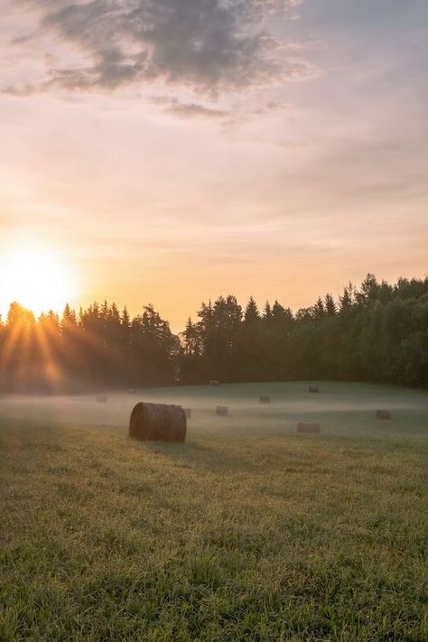 Country Field Aesthetic, Country Life Wallpaper, Simple Country Living Aesthetic, Southern Aesthetic Country, Old Country Aesthetic, Country Living Aesthetic, Midwestern Aesthetic, Vintage Country Aesthetic, Country Life Aesthetic