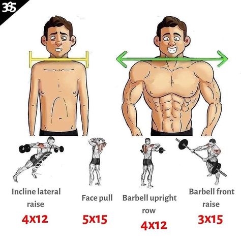 Chest Strong Physique, Shoulder Workout Routine, Gym Workout Guide, Latihan Dada, Workout Program Gym, Best Gym Workout, Gym Workout Planner, Wide Shoulders, Bodybuilding Workout Plan