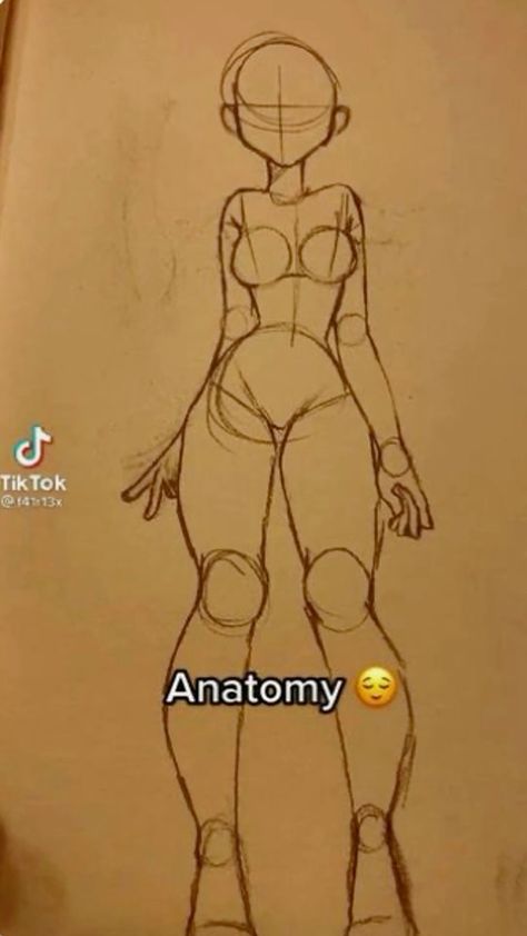 Anatomy