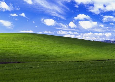 Charles O'Rear is the photographer who took the Windows XP wallpaper photo in Napa Valley. Windows Desktop Wallpaper, Wallpaper Windows 10, 2k Wallpaper, Grass Wallpaper, Desktop Background Images, R Wallpaper, Windows Wallpaper, Cool Desktop, Most Beautiful Wallpaper