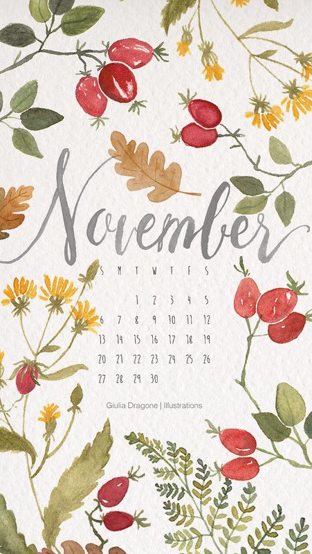 November 2016-phone | Giulia Dragone | Flickr Dragon Illustration Cute, Illustration Calendar, Season Calendar, November Wallpaper, Bullet Journal Month, Watercolor Calendar, Calendar Design Template, November Calendar, 달력 디자인