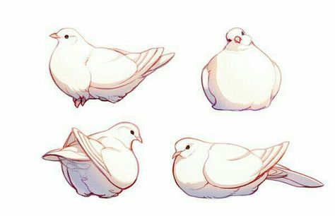 Adorable, sitting down plump dove art. Bird Reference, Pigeon Bird, Posca Art, Beautiful Sketches, 강아지 그림, White Dove, Art Simple, Animal Sketches, Bird Drawings