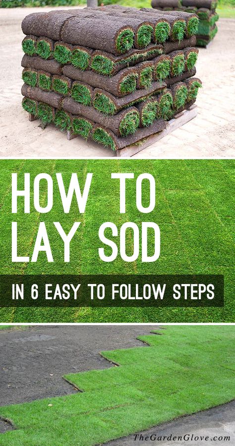 How to Lay Sod in 6 Easy to Follow Steps - Nothing transforms a yard and garden faster then the velvet green of a freshly laid sod lawn. So let’s learn how to lay sod with this step by step tutorial! #laysod #backyardideas #backyardprojects #howtolaysod #newlawn #gardenideas #diygardenideas #diygardenprojects #TGG #plantlawn #plantanewlawn How To Lay Sod, Sod Grass, Sod Installation, Diy Lawn, Yard And Garden, Lawn Care Tips, Lawn Maintenance, Gardening Gloves, Diy Garden Projects