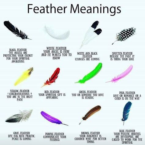 If you come across a feather Birds Tattoo Meaning, Black Feather Meaning, White Feather Meaning, Feather Color Meaning, Feather Magic, Finding Feathers, Feather Symbolism, Feather Tattoo Meaning, Feather Meaning