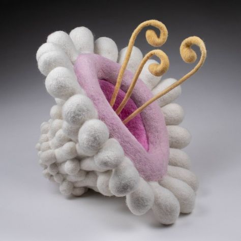 Study Drawing, Fiber Sculpture, Felt Books, Textile Sculpture, Form Crochet, Textile Fiber Art, Natural Forms, Wet Felting, Clay Ceramics