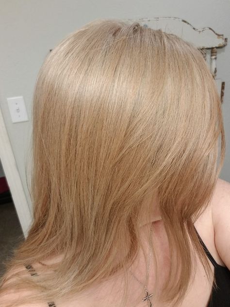 Brassy Hair To Ash Brown, T10 Wella Toner, Light Mushroom Blonde, 8n Hair Color, Mushroom Blonde, Brassy Blonde Hair, Blonde Shades, Brassy Blonde, Hair Toner