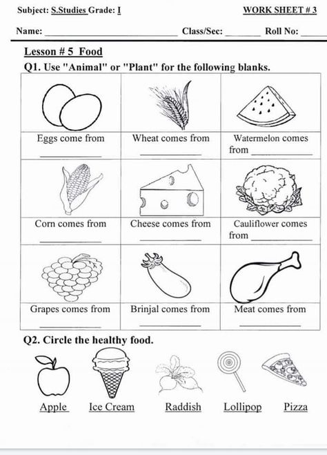 Evs Worksheet For Class 1 Air, Preschool Graduation Speech, Evs Worksheet, Clothes Worksheet, Human Body Activities, Worksheets For Class 1, Alphabet Crafts Preschool, English Grammar For Kids, Holiday Homework