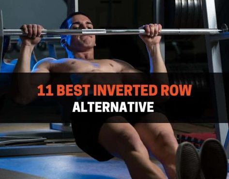 Shoulder Blade Stretch, Inverted Row, Upper Back Muscles, T Bar Row, Barbell Row, Cable Row, Full Body Workout Routine, Squat Rack, Popular Workouts