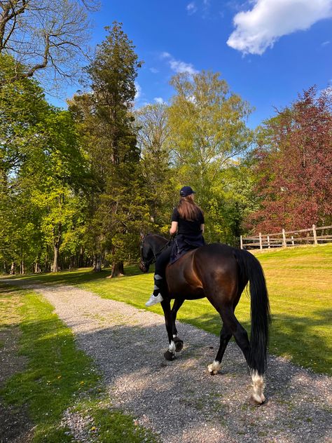 Horseback Riding Outfit, Aesthetic Equestrian, Horse Girl Aesthetic, Riding Outfit Equestrian, Horse Riding Lessons, Horsey Life, Equestrian Outfit, Horse Lessons, Horseback Riding Outfits