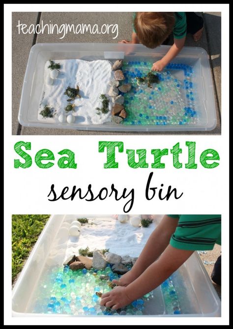 Teaching Mama: Sea Turtle Sensory Bin. Pinned by SOS Inc. Resources. Follow all our boards at pinterest.com/sostherapy/ for therapy resources. Tucker Turtle, Turtle Classroom, Curriculum Themes, Turtle Activities, Games Indoor, Sensory Tubs, Turtle Theme, Teaching Mama, Turtle Day